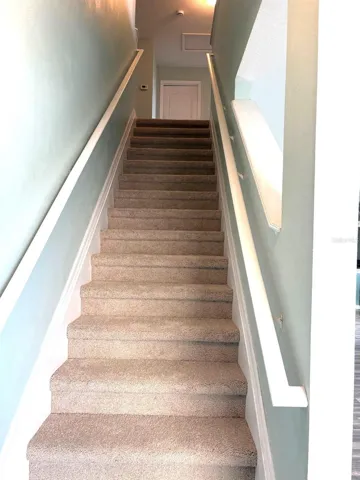 New Carpet