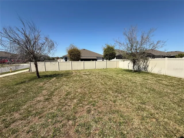 Backyard