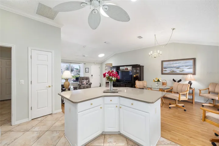 Pantry Closet in Kitchen