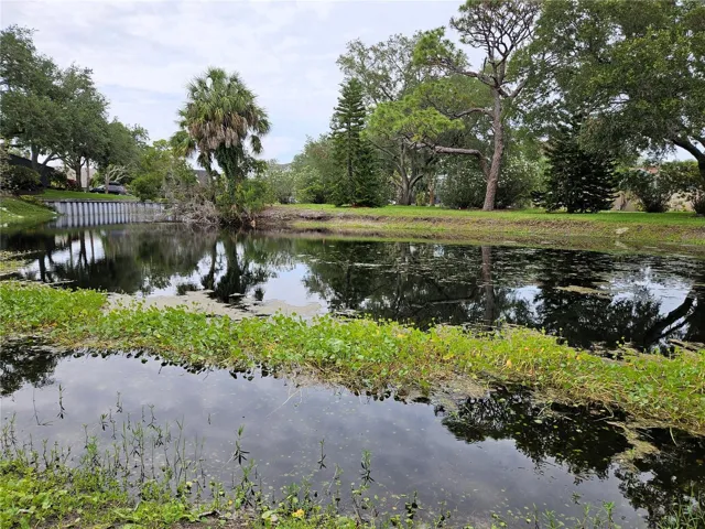 View of the pond