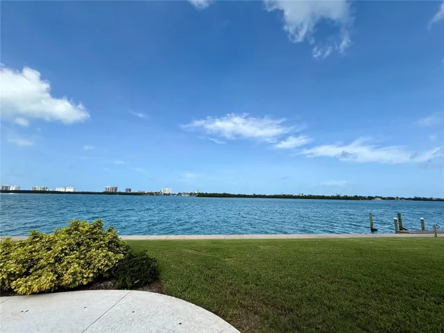 View from the house