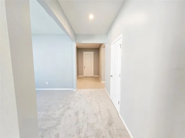 New carpet and paint!