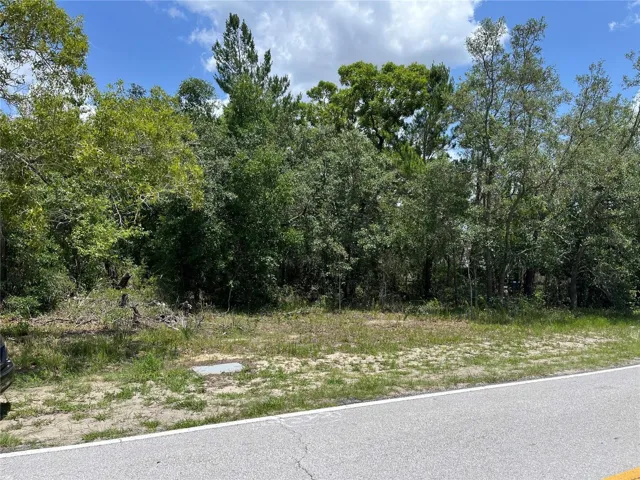 Front of Lot 8
