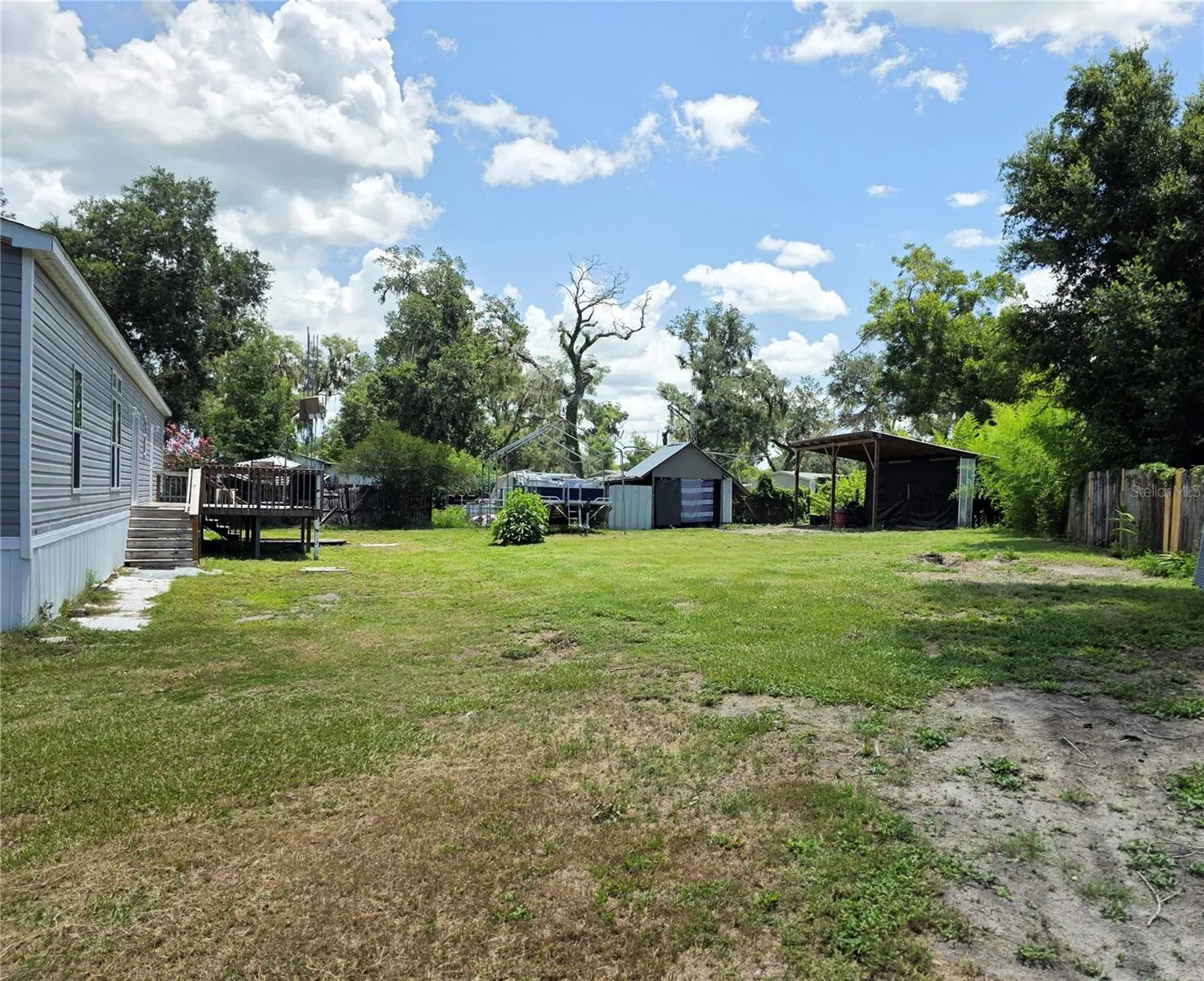 Back yard