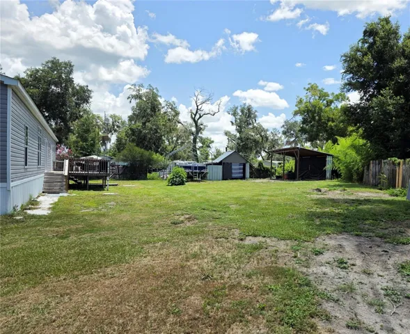 Back yard