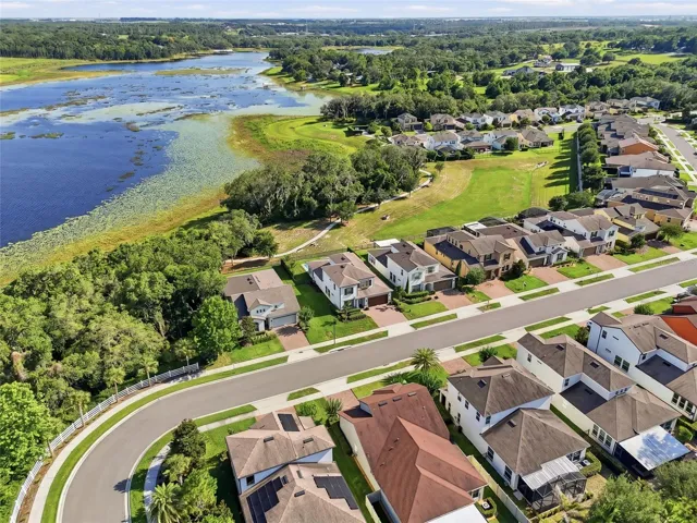 Aerial View of the Neighborhood