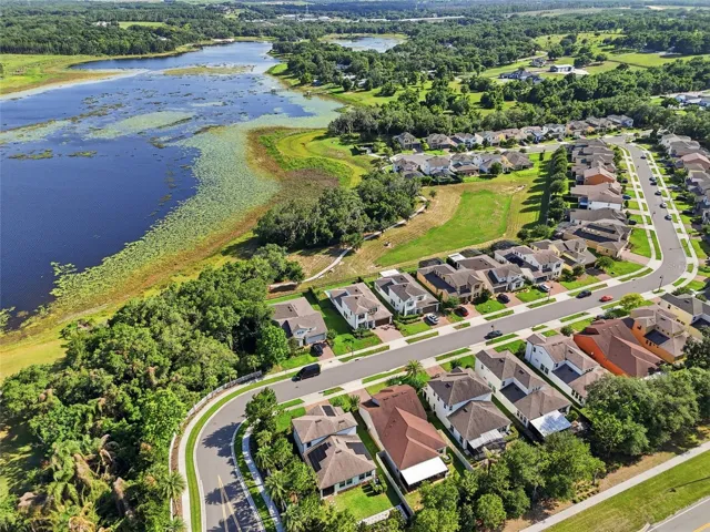 Aerial View of the Neighborhood