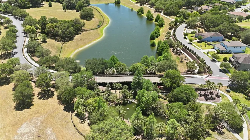 Neighborhood Bridge