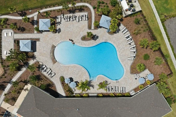 Resort-style Pool with Cabanas