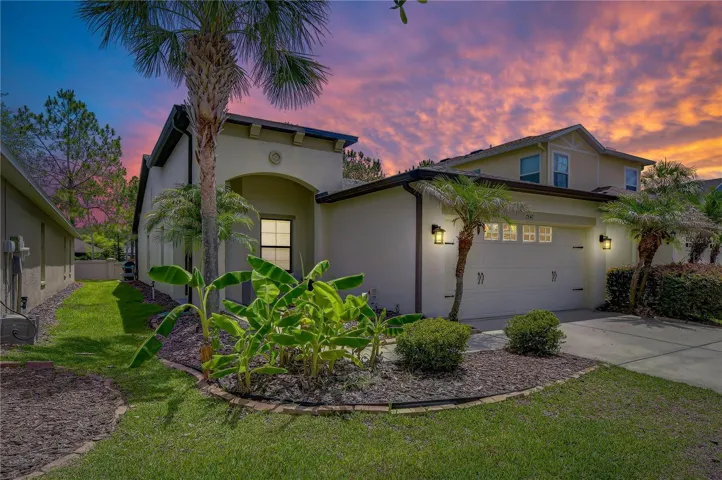 Welcome Home!
