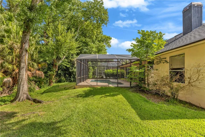 Backyard