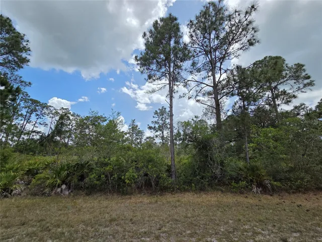 915 Laguna Dr front lot view