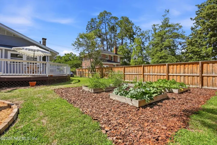 Large Backyard