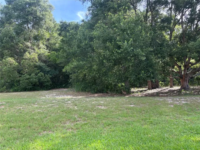 back yard/ greenspace