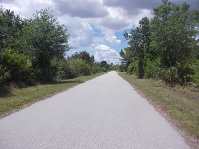 Looking North up Travis St