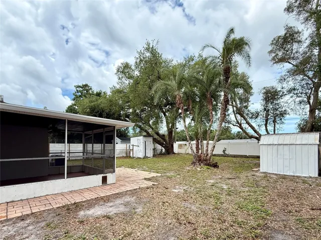 Backyard