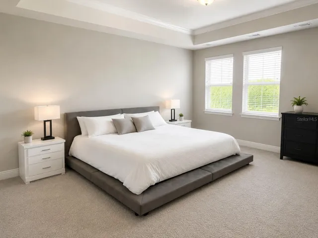 Primary Bedroom w/Tray Ceilings