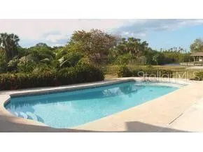 Porpoise Pool