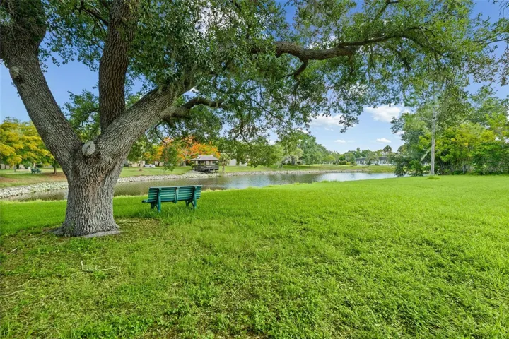 Backyard Park