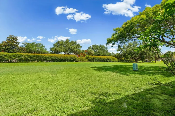 Backyard View