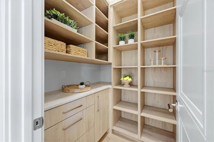 Pantry with Built Ins and quartzite counters