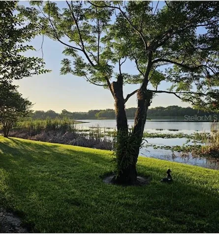 Lakeview