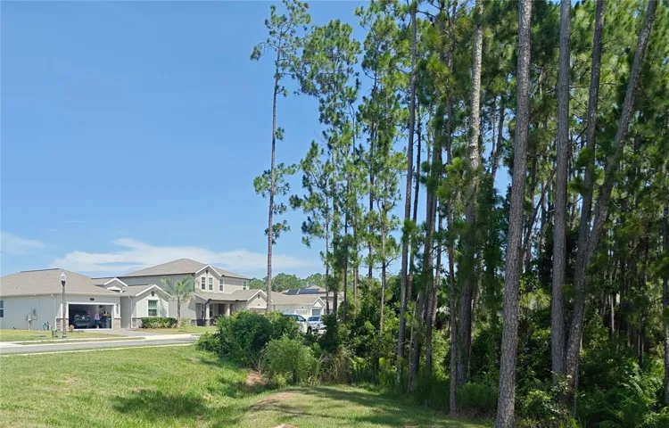 looking across the street to the house