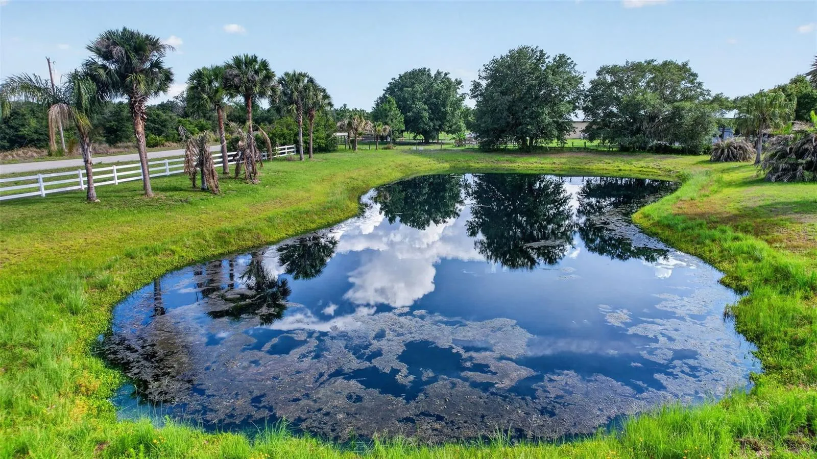 A scenic pond and mature landscaping contribute to the estate's peaceful atmosphere and park-like setting