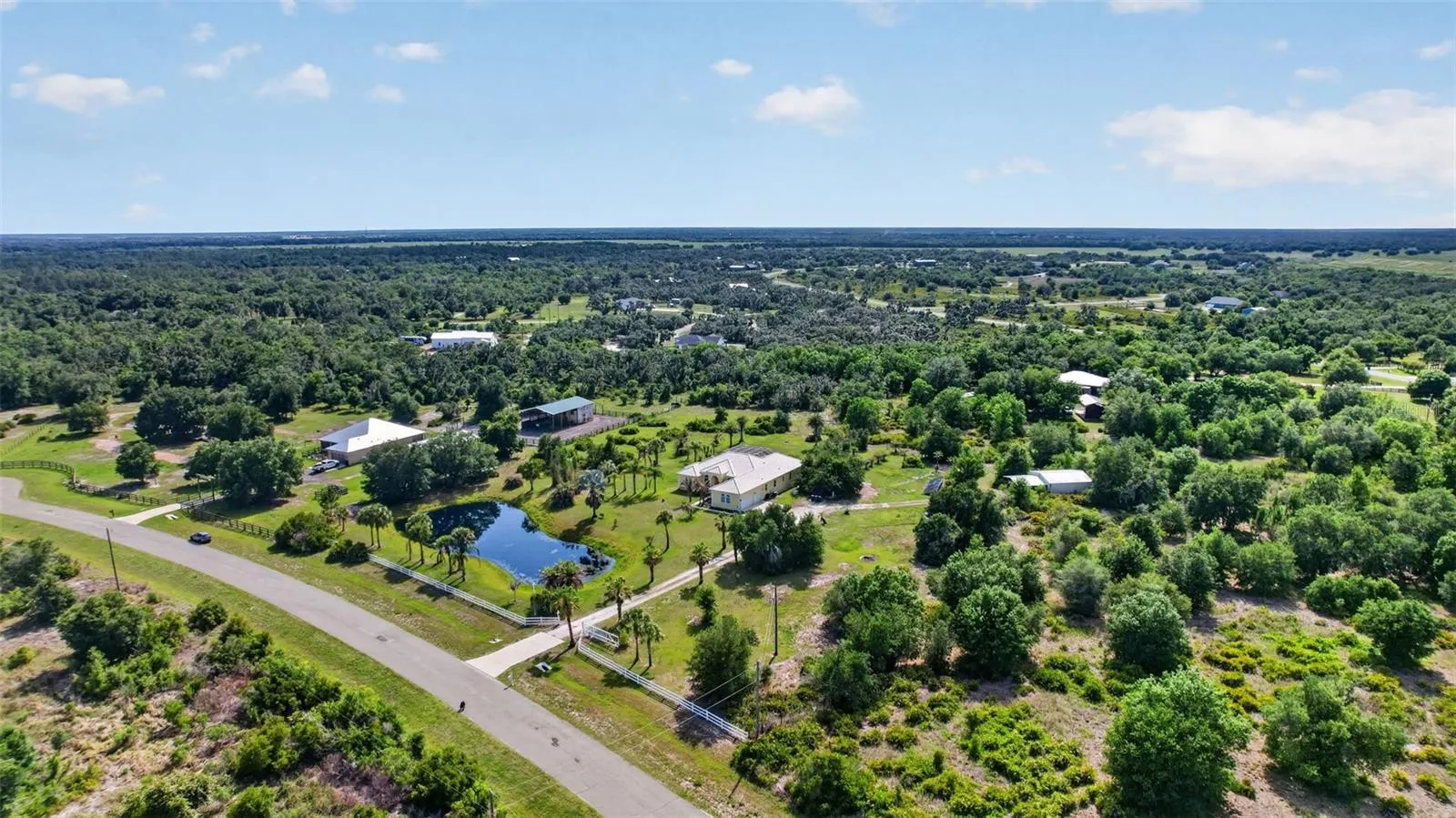 The winding drive, private pond, and stately palms create a memorable arrival experience worthy of a true estate property.