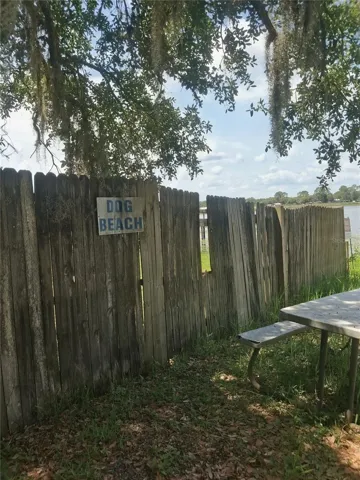 Dog Beach