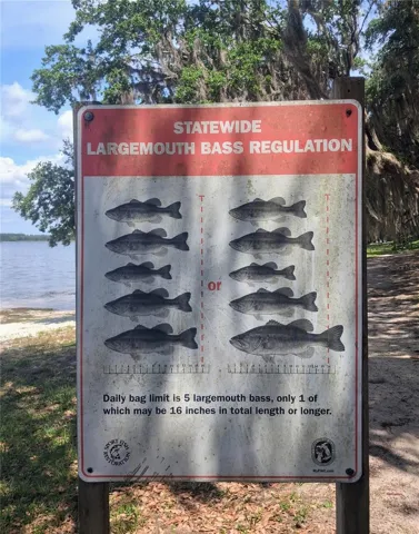 BASS Fishing