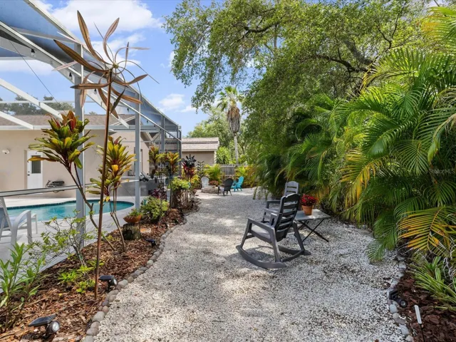 Back of the house lined with Areca Palms