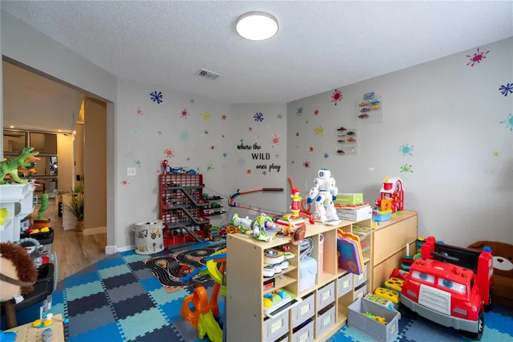 Flex room/play room