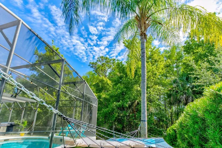 Palm trees and blue skies - things dreams are made of