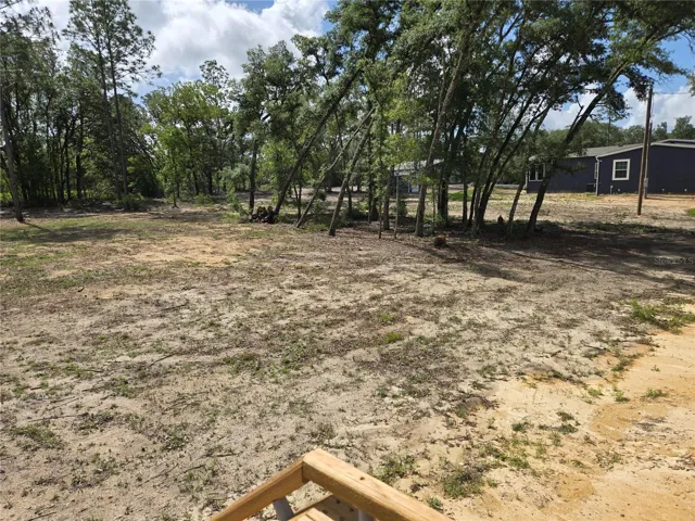 Back yard