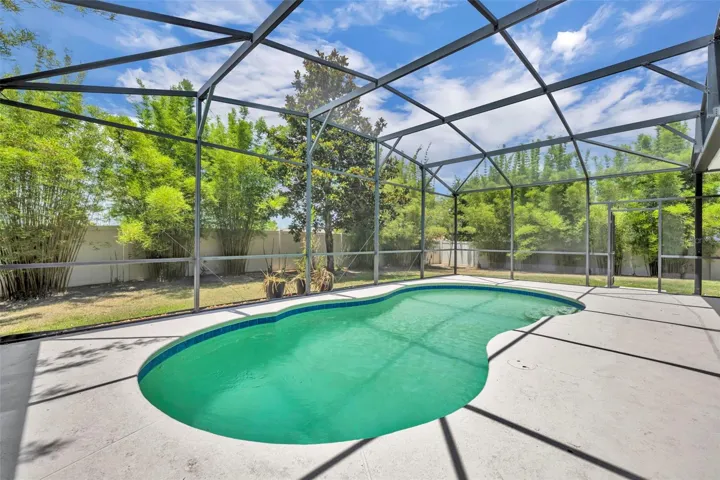 Pool & Back Yard