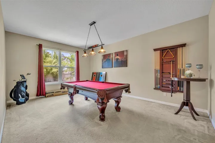 Downstairs Bonus Room