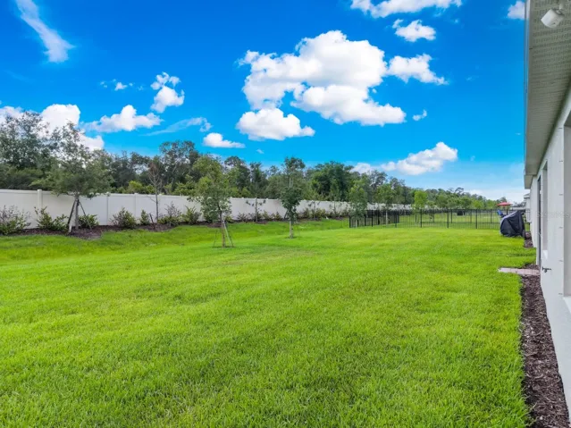 Large backyard with tropical views of Centennial park.
