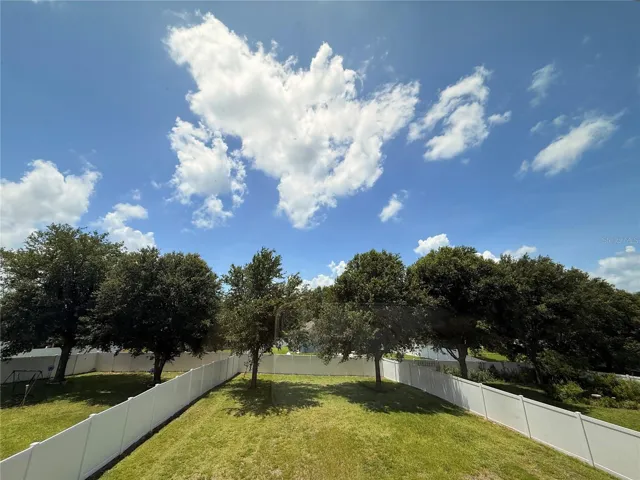 backyard view