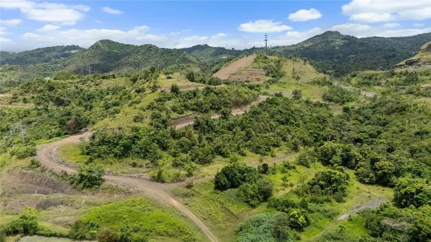 Vacand Land