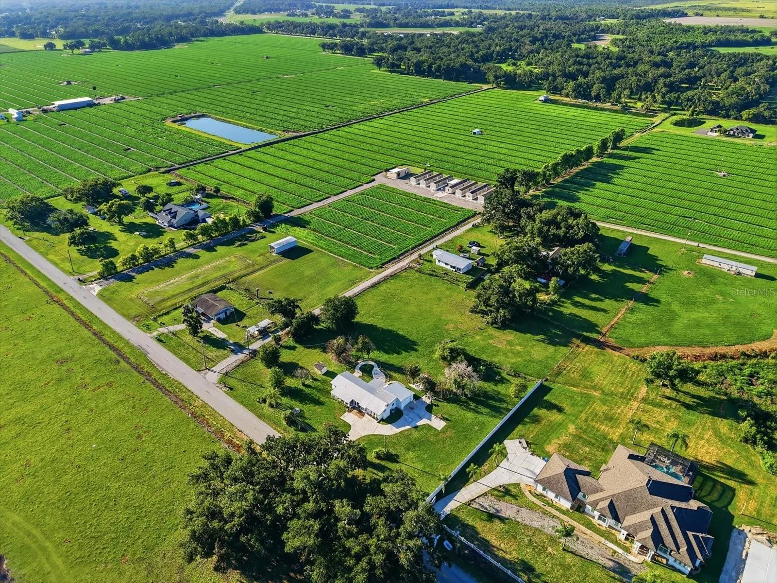 1113 Colson Rd, Plant City, Florida 33567 — photo 29