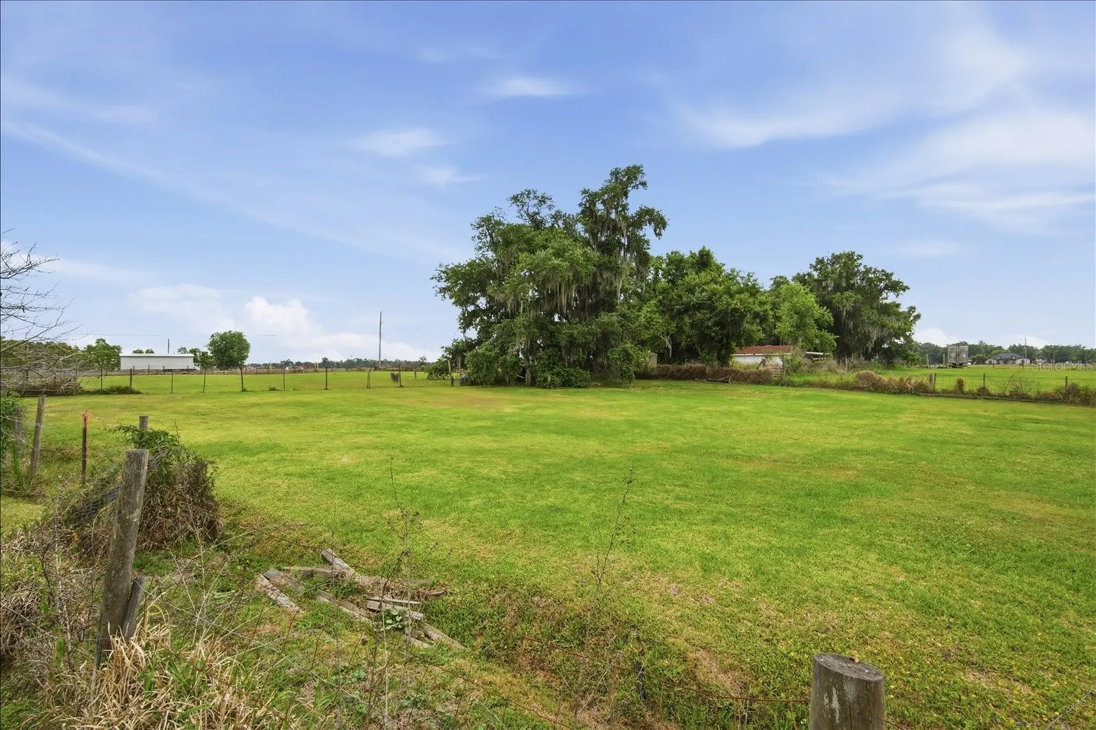 1113 Colson Rd, Plant City, Florida 33567 — photo 26
