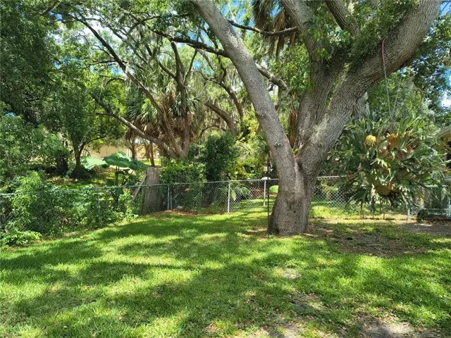Lush Paradise in an X Flood Zone