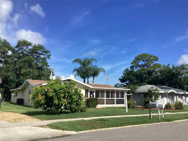 Front w/ Mango Tree