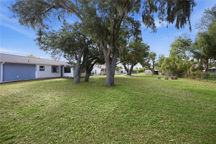 BACK YARD WITH OAKS