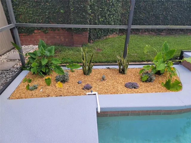 Pool Landscaping