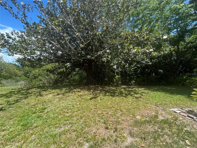 View of backyard