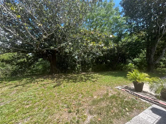 View of backyard