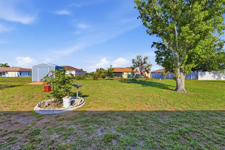 Back yard
