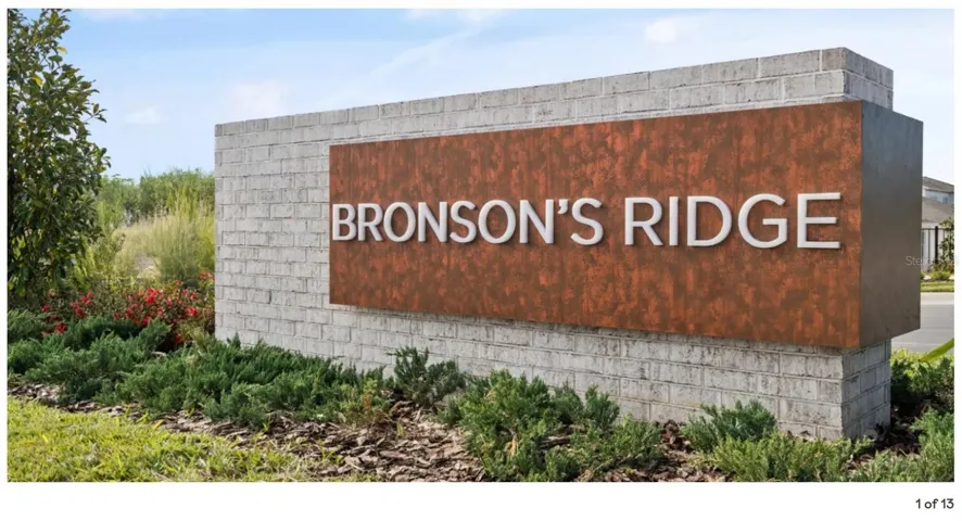 Bronson's Ridge Community